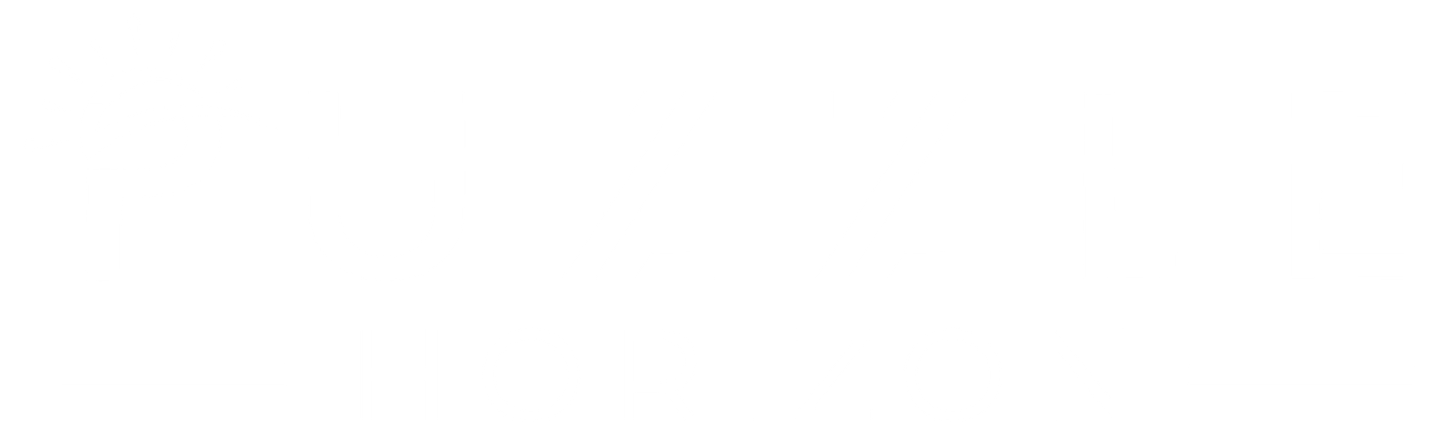 PUZZLE HORIZON